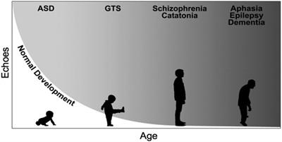 Clinical Features That Evoke the Concept of Disinhibition in Tourette Syndrome